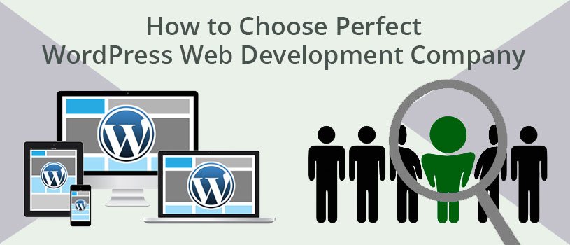 How to Choose Perfect WordPress Web Development Company