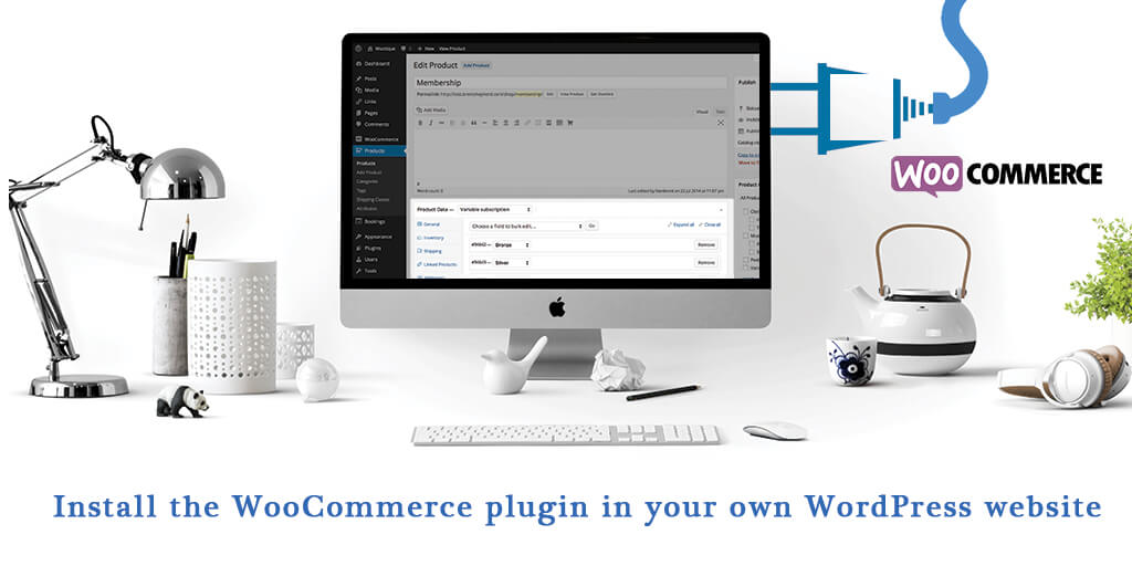 Install the WooCommerce plugin in your own WordPress website