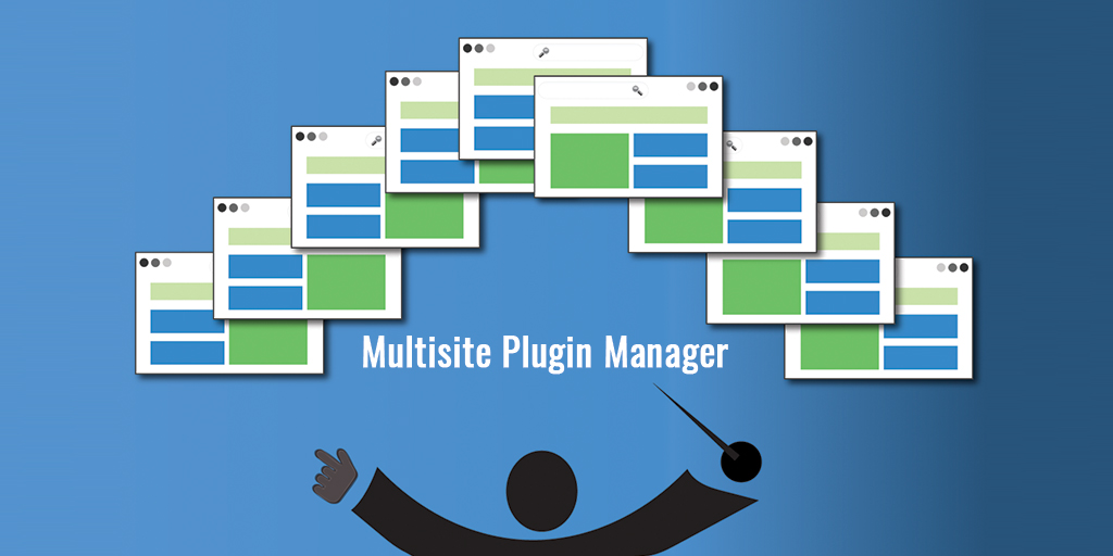 Multisite Plugin Manager
